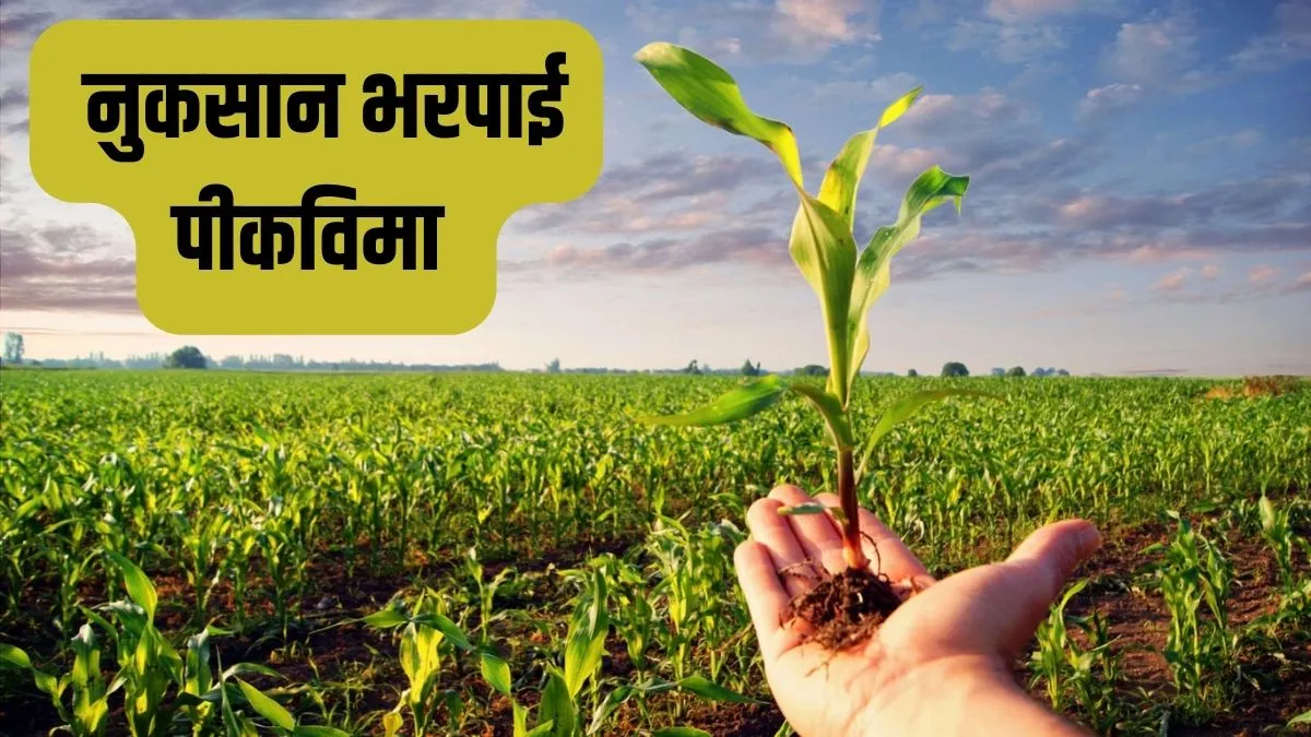 Essential Steps and Guidance for Crop Damage Compensation